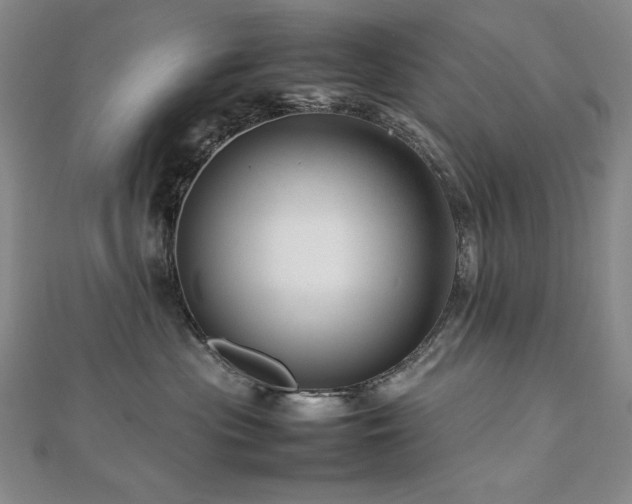 X0000112810477200908211148