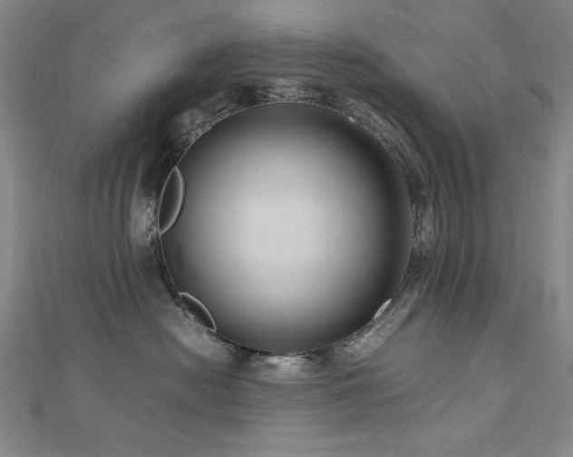 X0000112810478200908211148