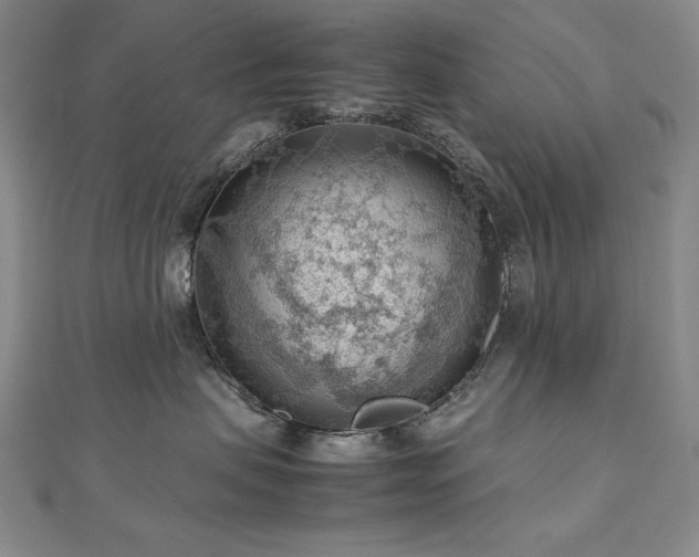 X0000112810479200908211148
