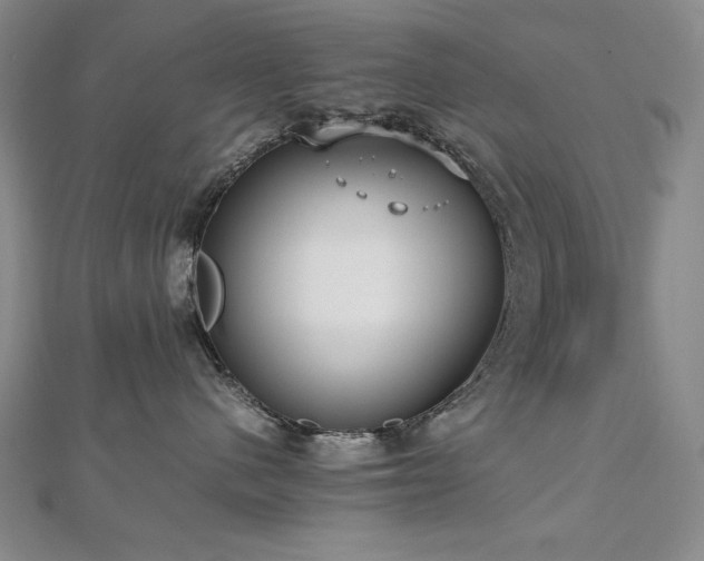 X0000112810480200908211148