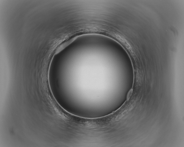 X0000112810481200908211147