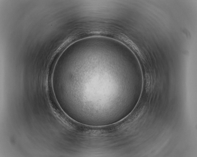 X0000112810482200908211147