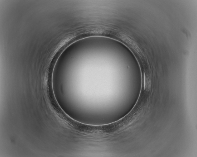 X0000112810483200908211147