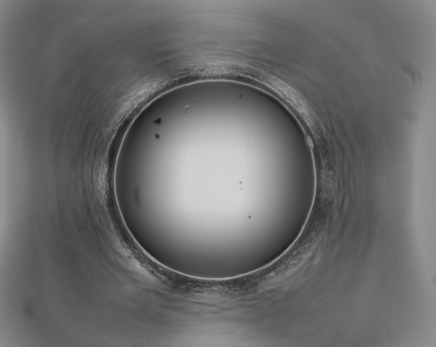 X0000112810485200908211147