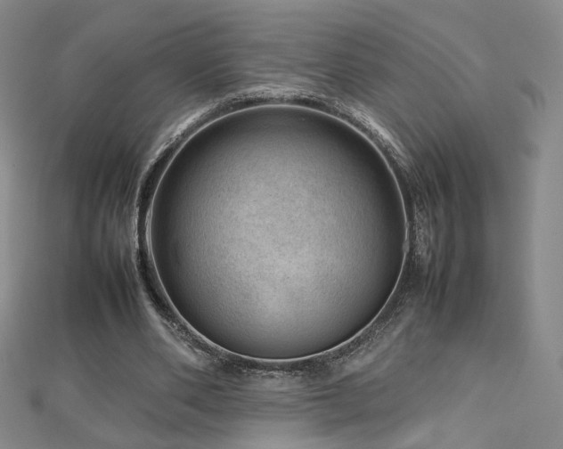 X0000112810486200908211147