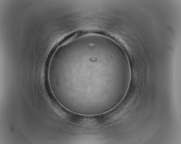 X0000112810487200908211147