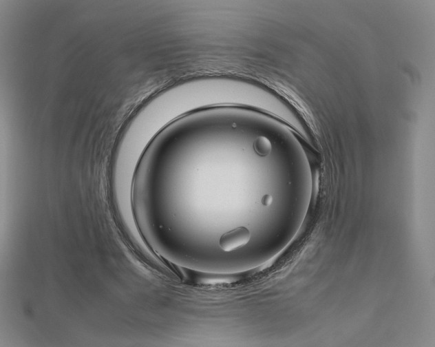X0000112810489200908211147