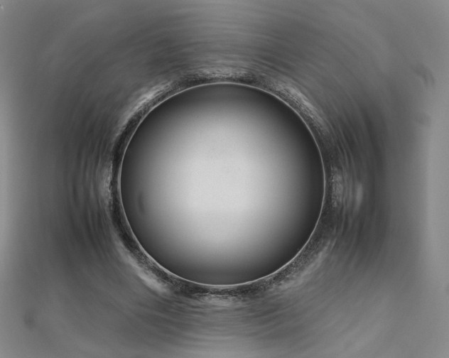 X0000112810490200908211147