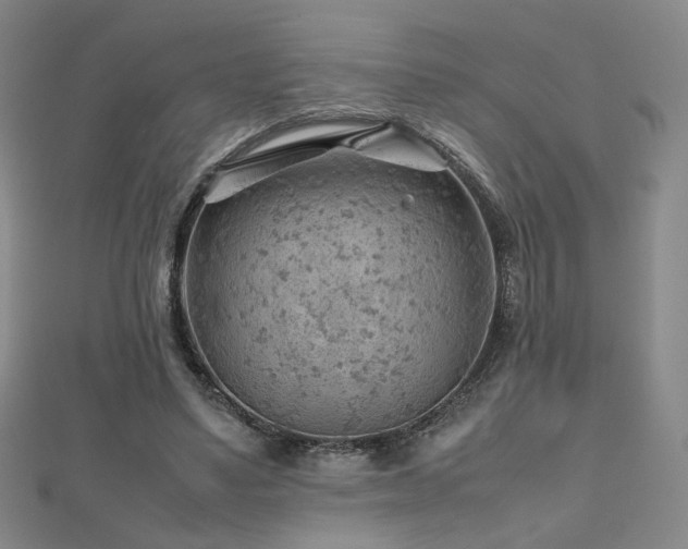 X0000112810491200908211147