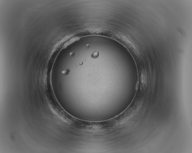 X0000112810492200908211147