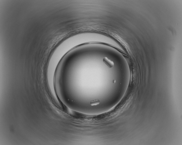 X0000112810493200908211147
