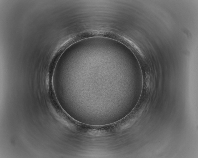 X0000112810494200908211147