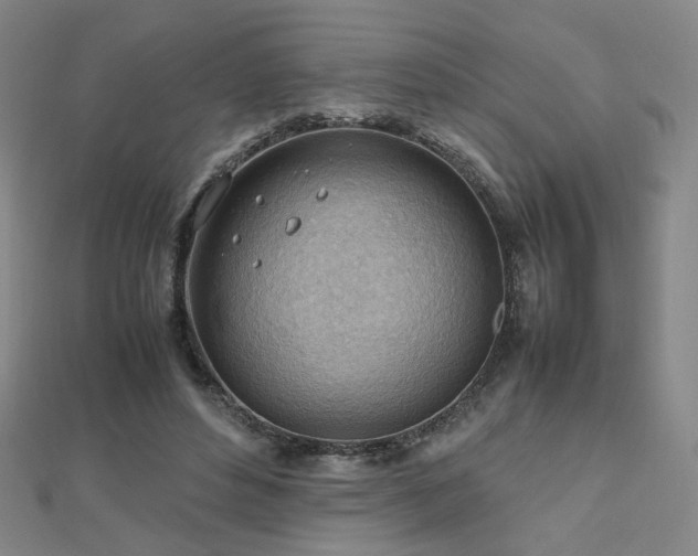 X0000112810496200908211147