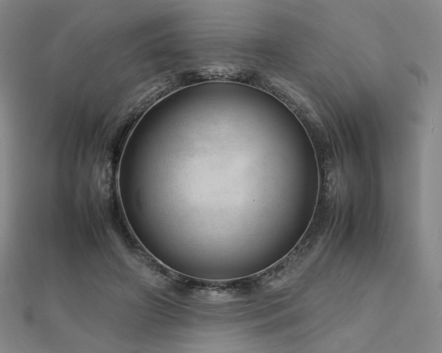 X0000112810498200908211147