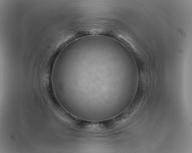 X0000112810499200908211147