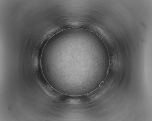 X0000112810500200908211147