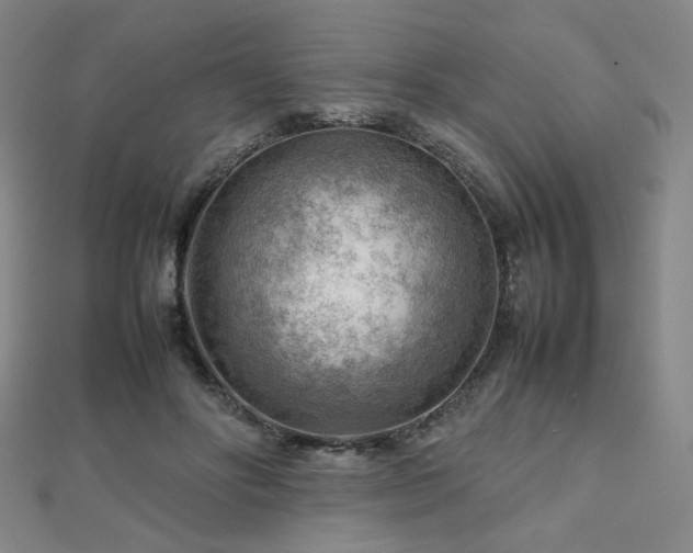 X0000112810502200908211147
