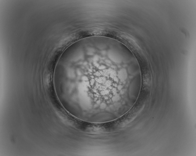 X0000112810503200908211147