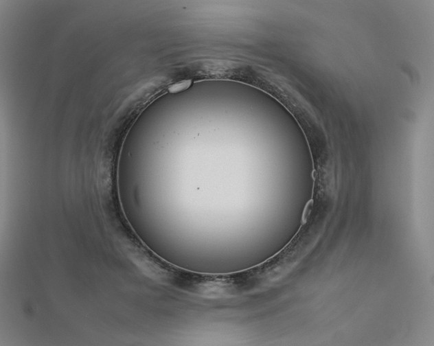 X0000112810505200908211147