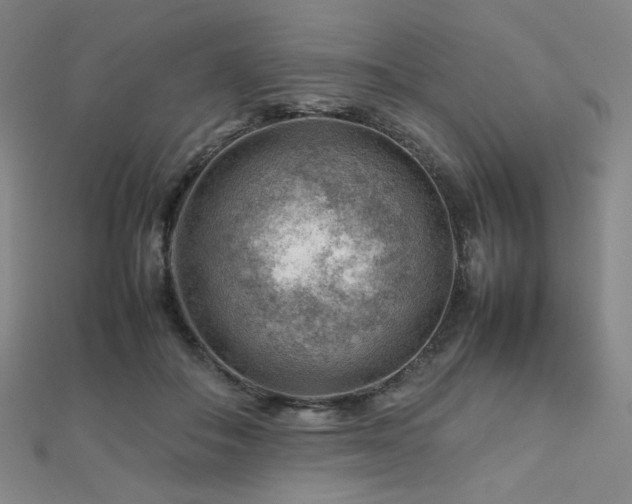 X0000112810506200908211147