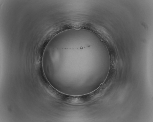 X0000112810507200908211147