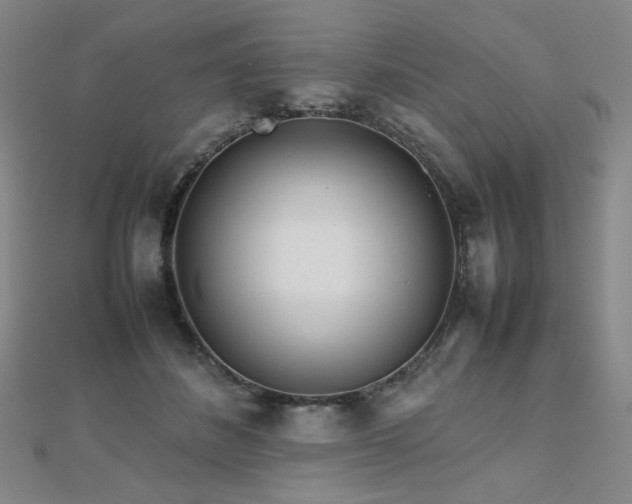 X0000112810508200908211147