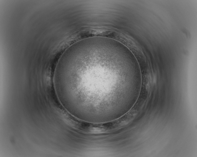 X0000112810510200908211147