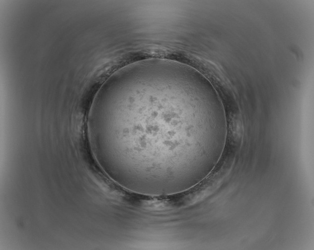 X0000112810511200908211147