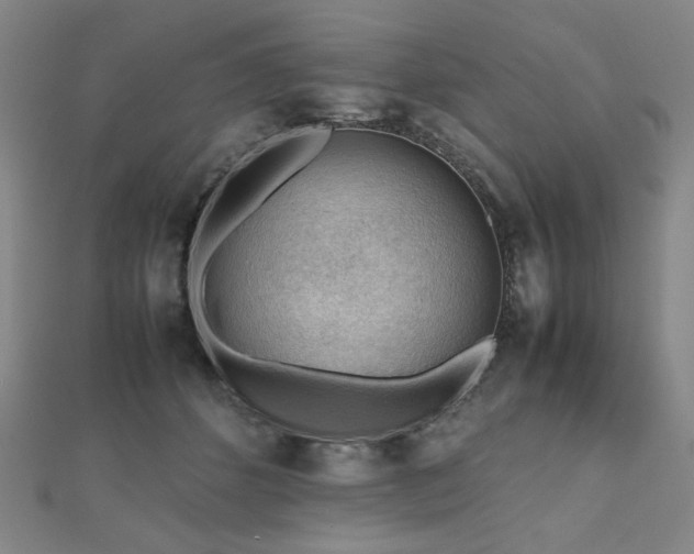 X0000112810512200908211147