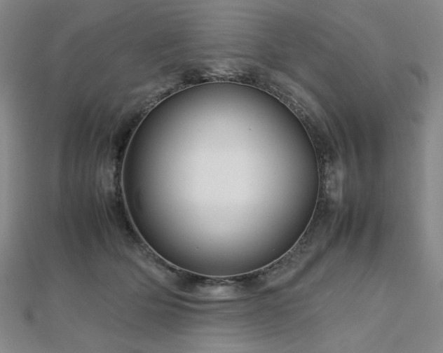 X0000112810514200908211147