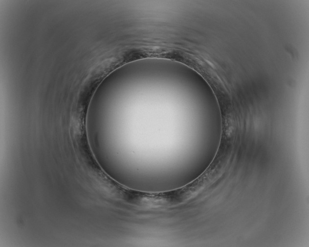 X0000112810515200908211147