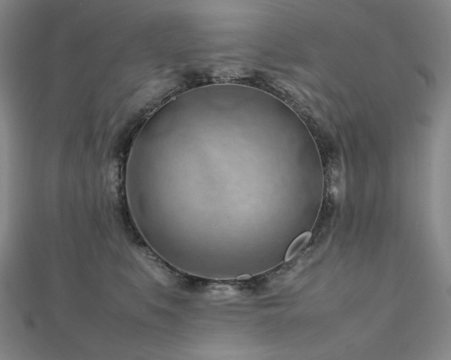 X0000112810519200908211147
