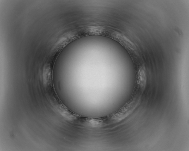 X0000112810522200908211147