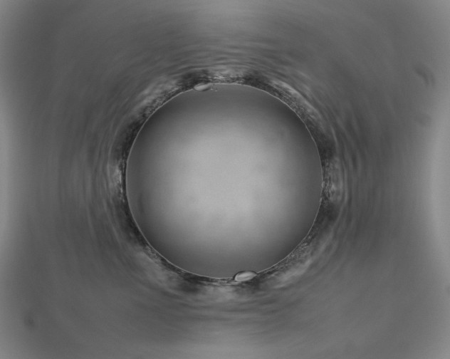 X0000112810523200908211147