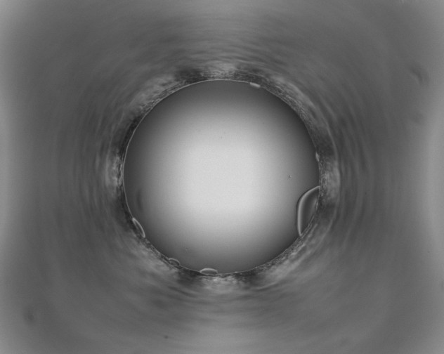 X0000112810525200908211147