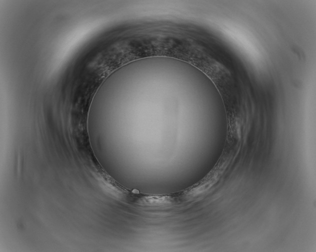 X0000112810526200908211147