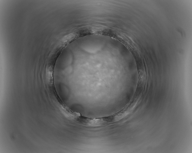 X0000112810527200908211147