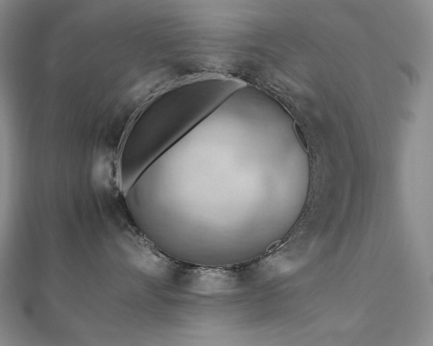 X0000112810528200908211147