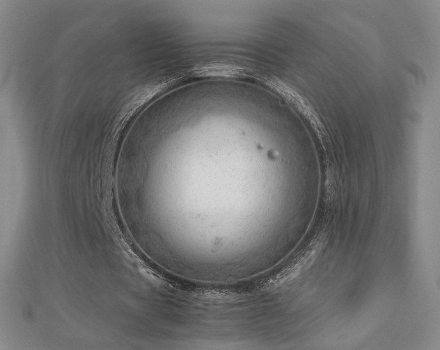 X0000112810529200908211146