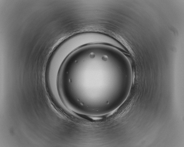 X0000112810530200908211146