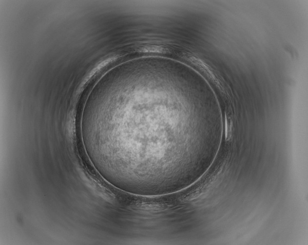 X0000112810531200908211146