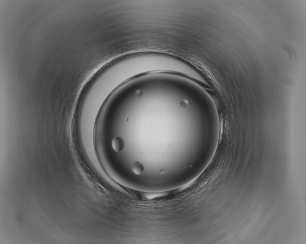 X0000112810532200908211146