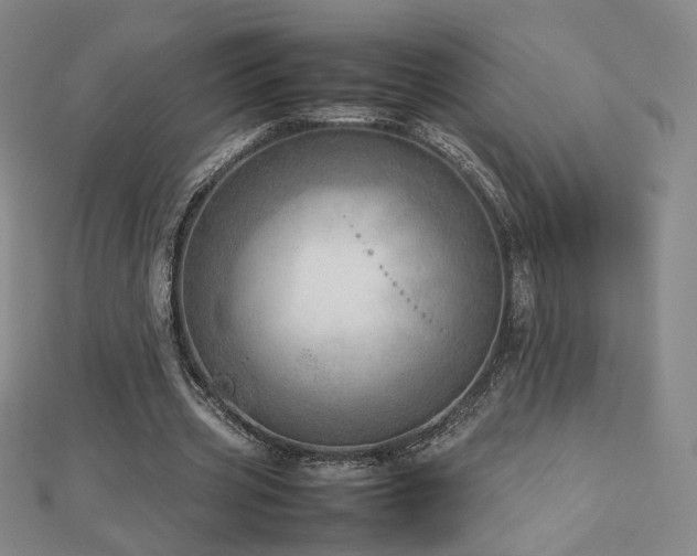 X0000112810533200908211146