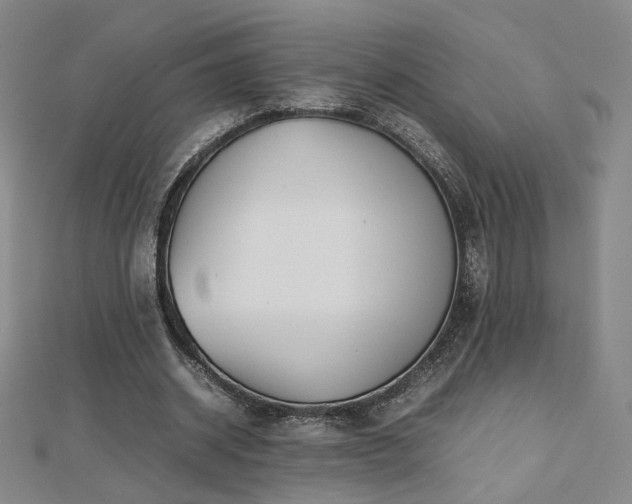 X0000112810534200908211146