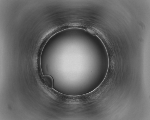X0000112810535200908211146