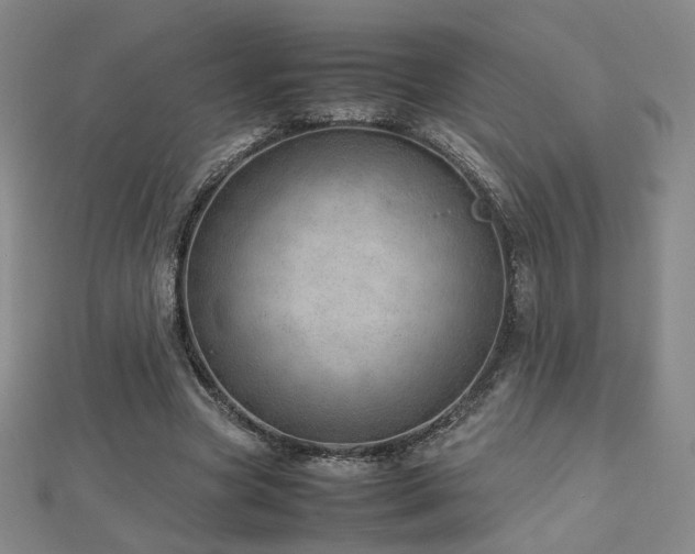 X0000112810537200908211146