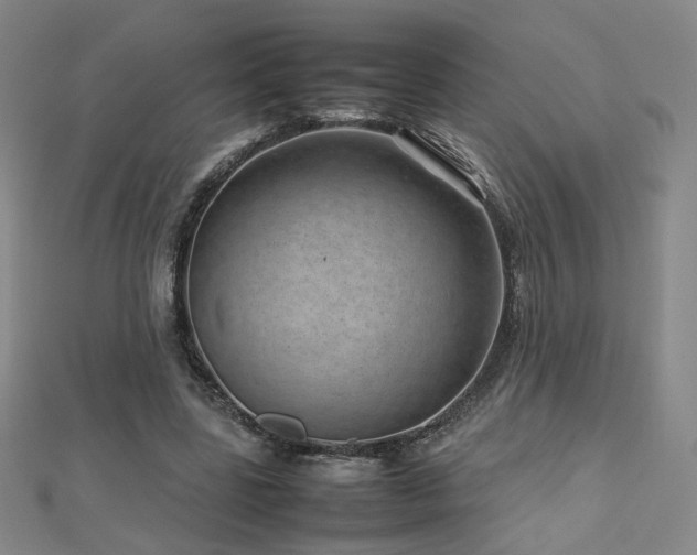 X0000112810539200908211146