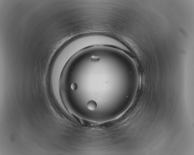 X0000112810540200908211146