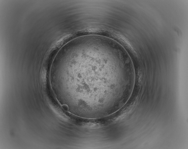 X0000112810542200908211146