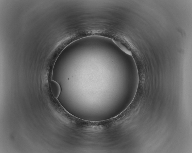 X0000112810543200908211146